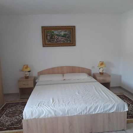 Casa M&M Διαμέρισμα Vişeu de Sus Εξωτερικό φωτογραφία