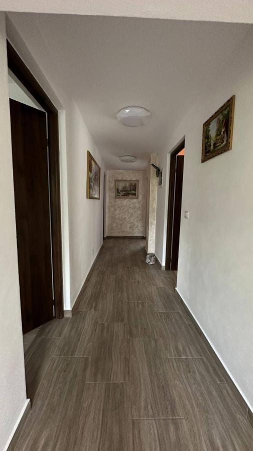 Casa M&M Διαμέρισμα Vişeu de Sus Εξωτερικό φωτογραφία